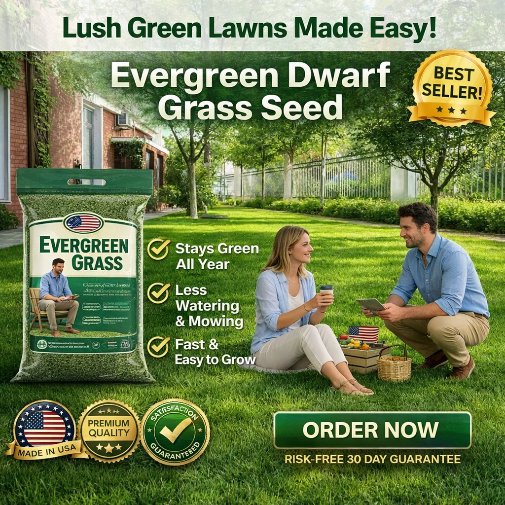 /69dcf58a5890ae000a04ca4a/2026/04/16/product-img-69e11e02373c02bd69cc0786.png